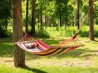 Hammock